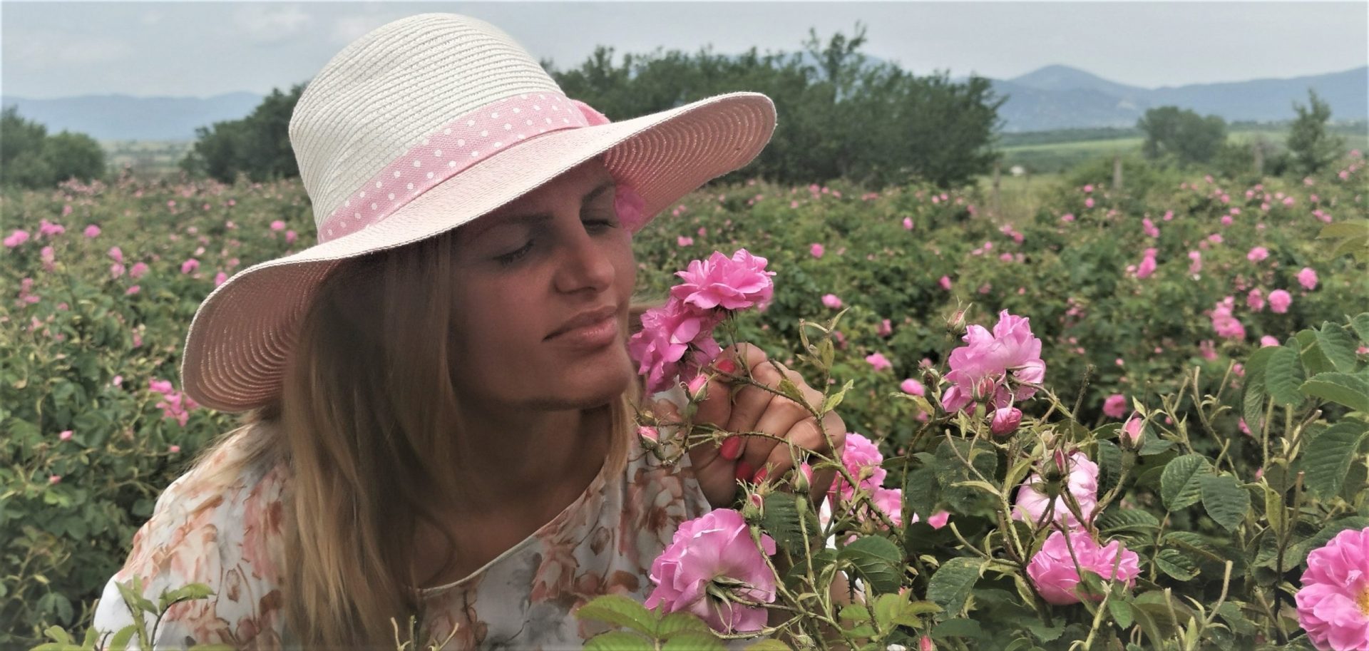 June 5 - 7, 2026 Rose Festival Tour! Book Now and Pay Later!